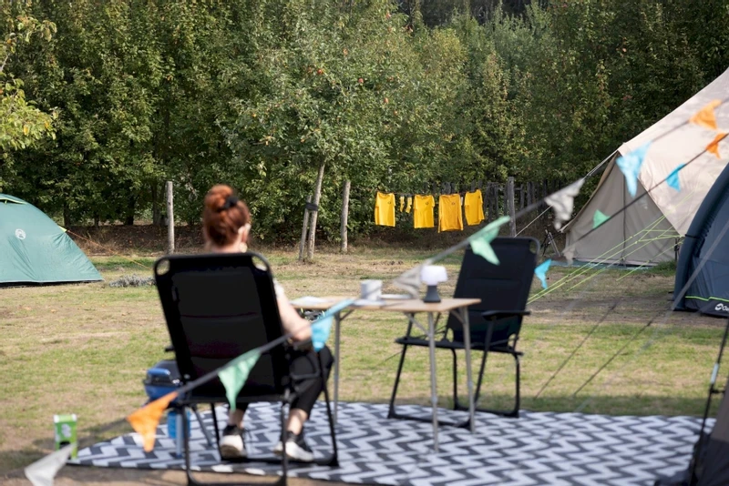 Easy Camp Palmdale 600 Lux Tunneltent - 6 Persoons - Afbeelding 19